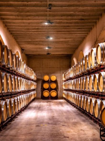 100% prirodna rakija - Destilerija Bošković